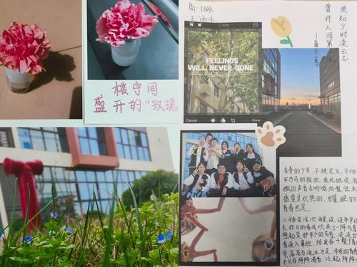 2.精彩作品展示 2.精彩作品展示